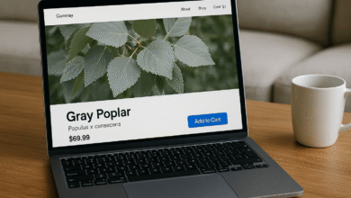 Gray Poplar Online Retail
