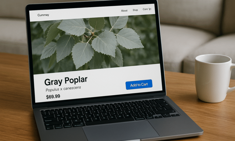Gray Poplar Online Retail