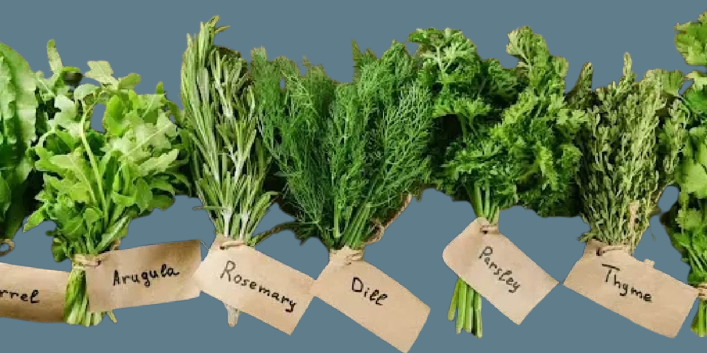 Herbciepscam