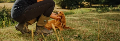 Walk Safely This Summer with the Right Dog Boots