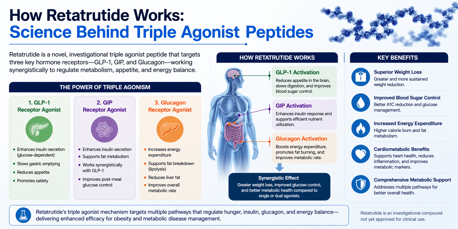 Agonist Peptides
