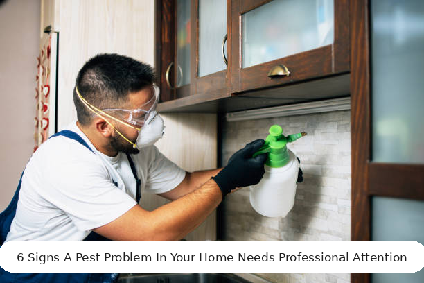 6 Signs A Pest Problem In Your Home Needs Professional Attention