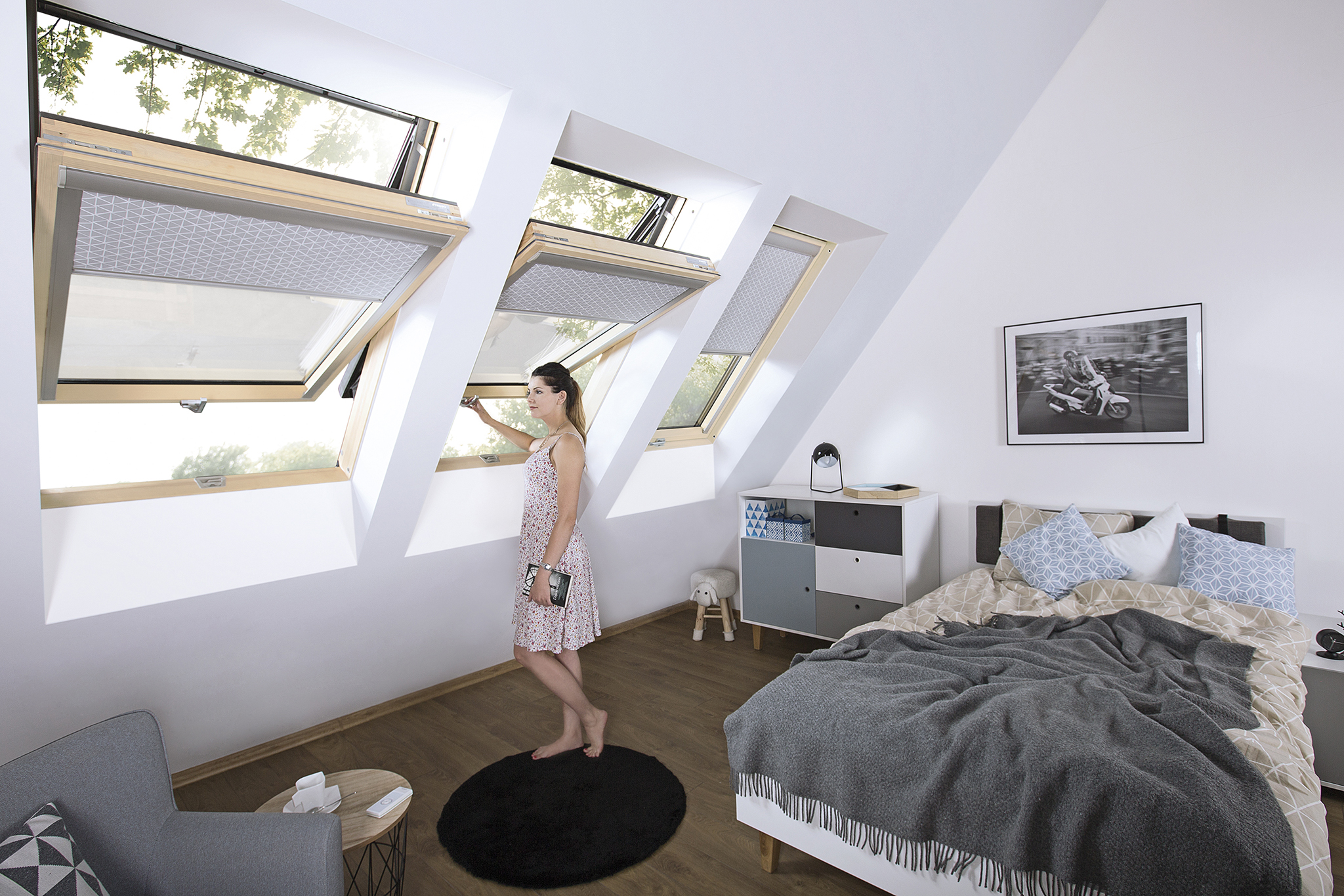Z-Wave Roof Windows