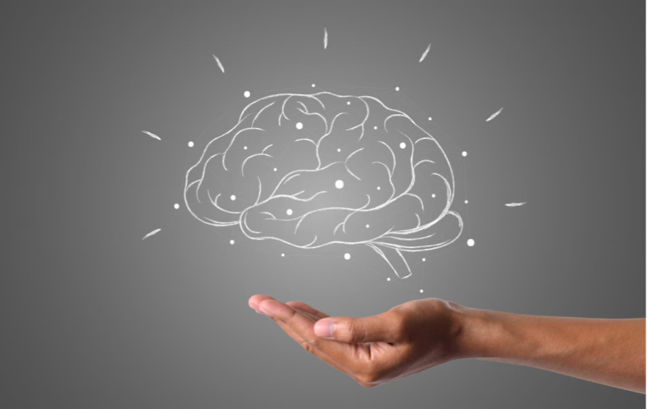 Brain Training