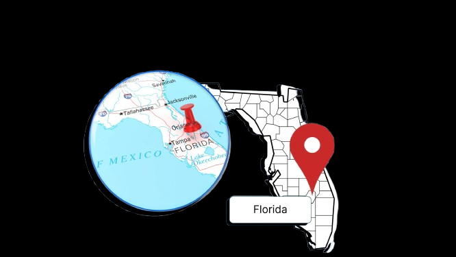 Area Code 239