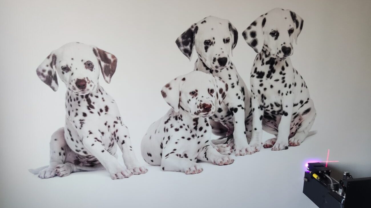 Wall Printer