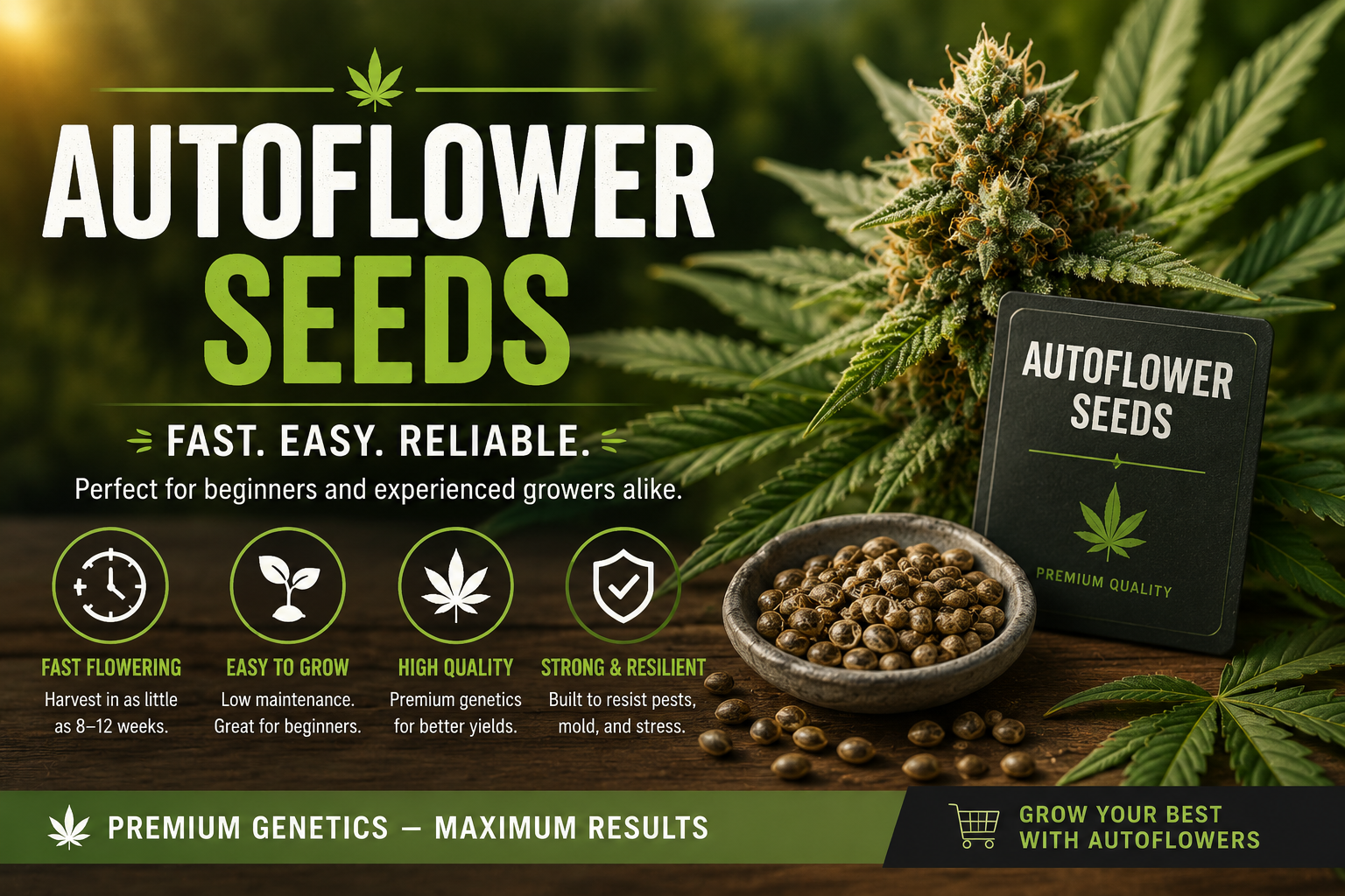 Autoflower Seeds