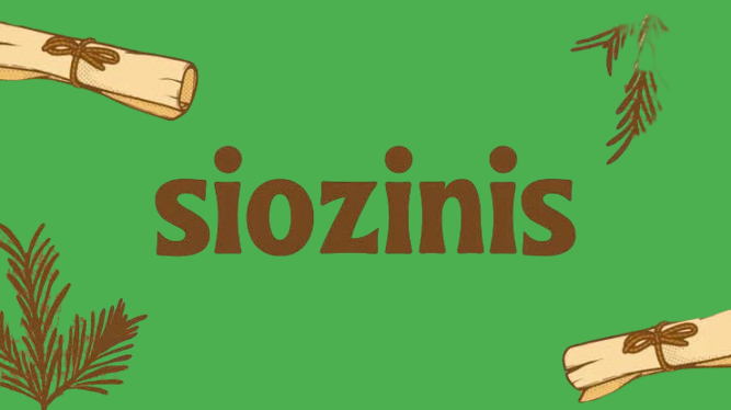Siozinis