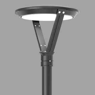 Top Lights