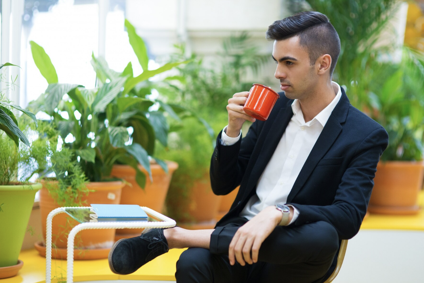 Why Single-Estate Hawaiian Coffee Has Become a Favourite Corporate and Personal Gift