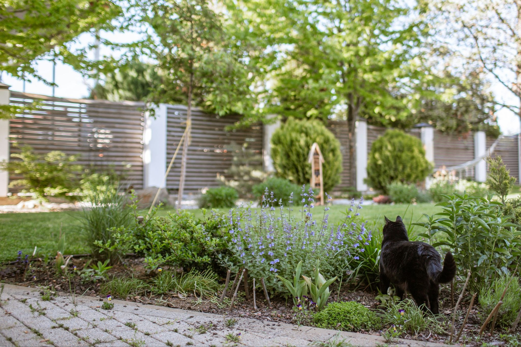 4 Smart Garden Improvement Ideas That Don't Take Much Time or Effort