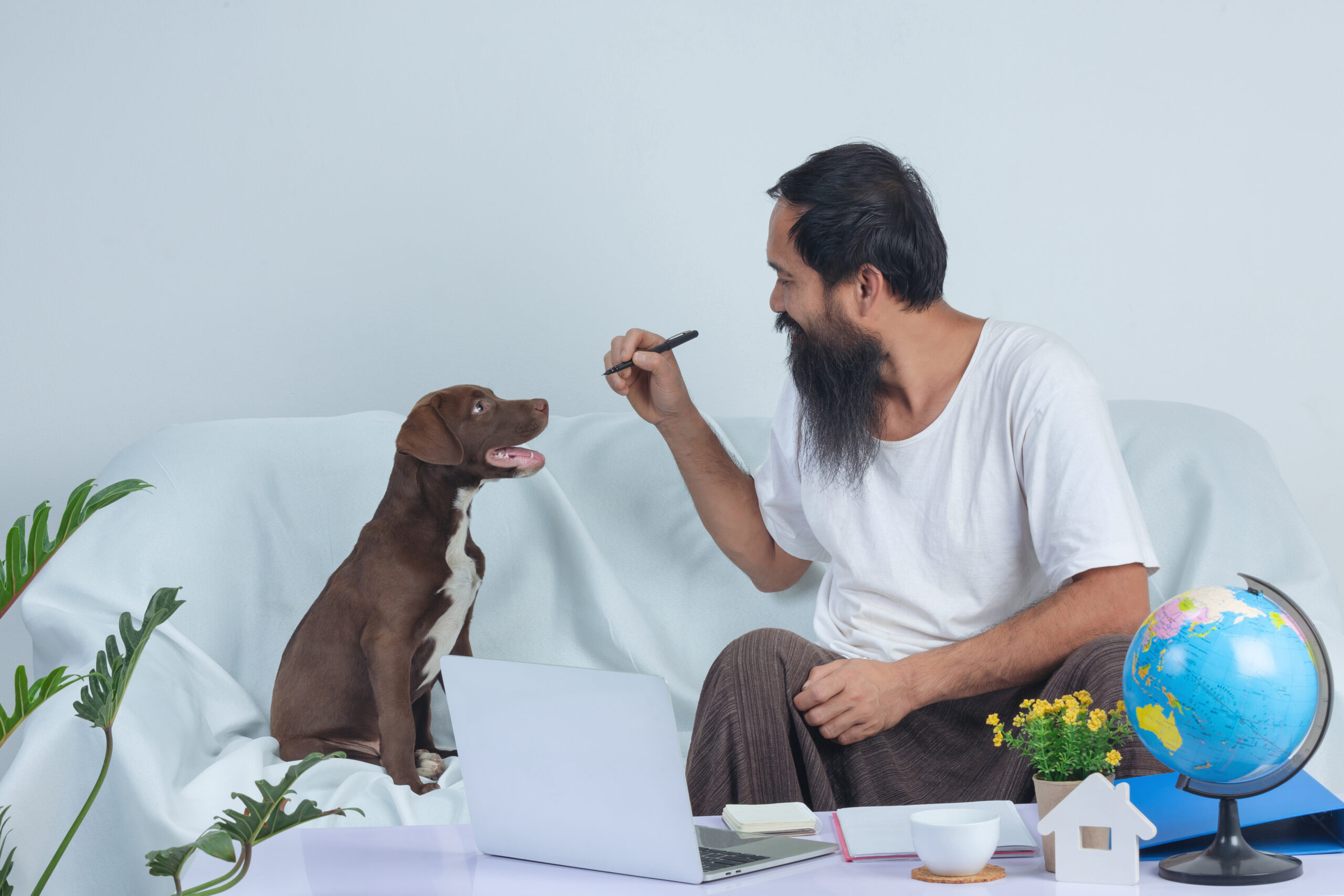 Why Your Pet's Behavior Can Tell You More Than You Think: Changes Austin Pet Owners Should Never Ignore